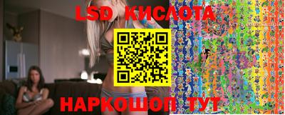 альфа пвп Берёзовский