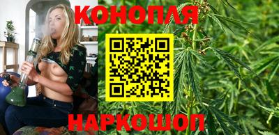 твердый Бийск