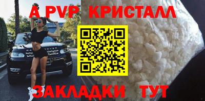 твердый Бийск
