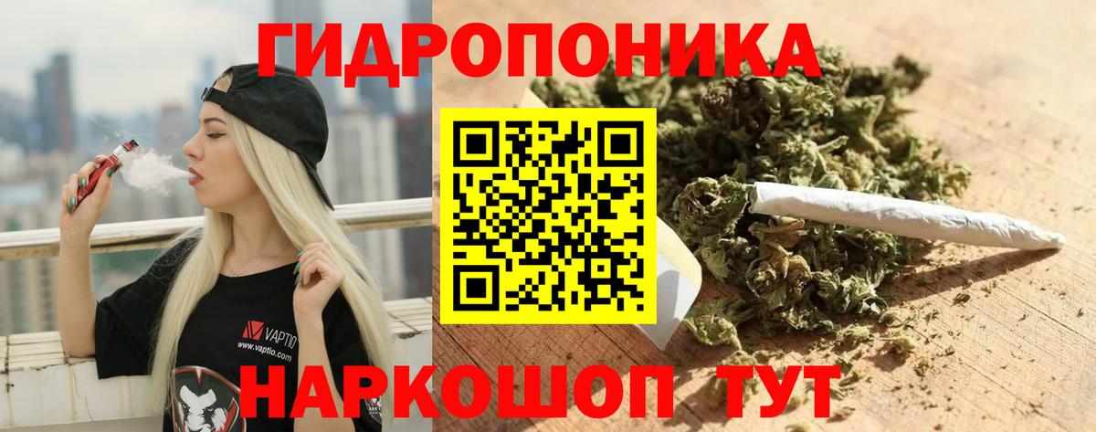 Шишки марихуана семена Всеволожск